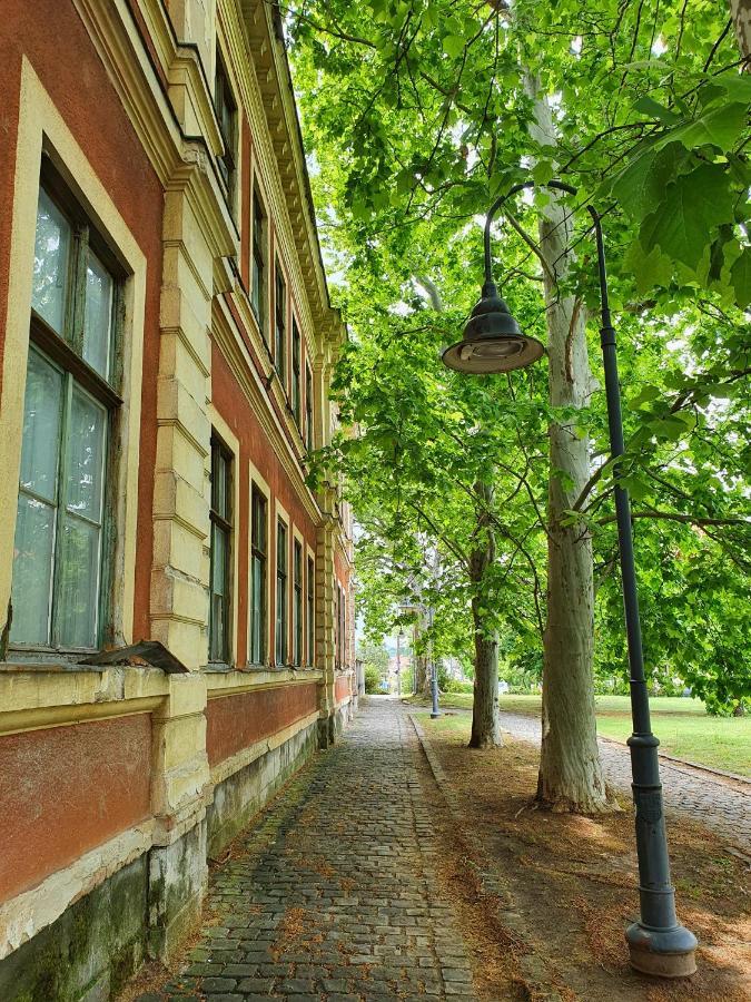 Gardenia Apartman Эстергом Экстерьер фото